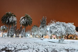 neve_3
