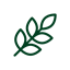 aveia-icone-novo-22